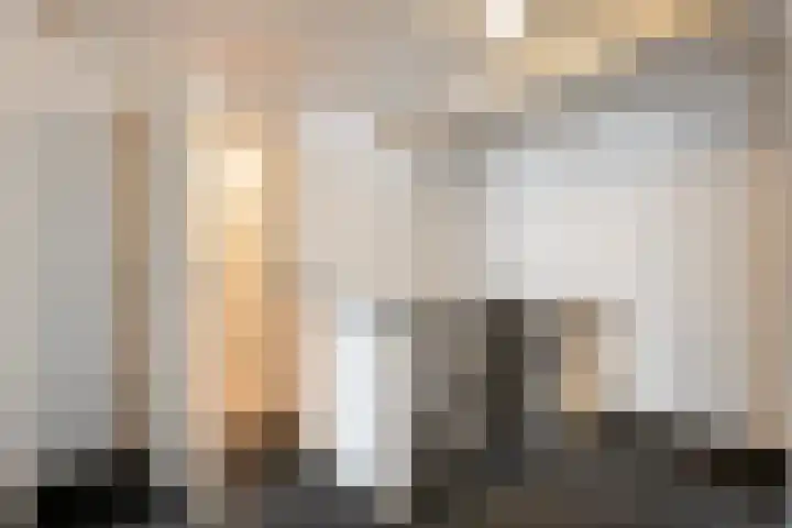 Lage weide 4 Dalfsen thumbnail 27
