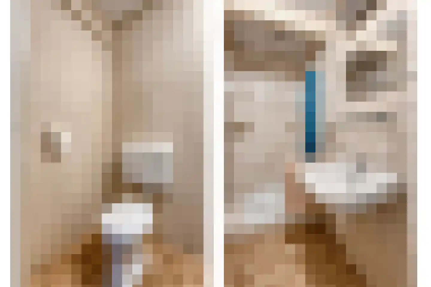 Lage weide 4 Dalfsen thumbnail 28