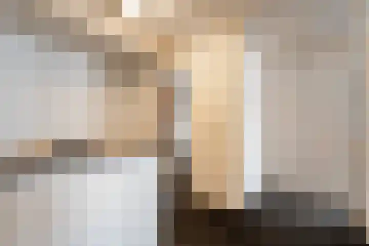 Lage weide 4 Dalfsen thumbnail 29