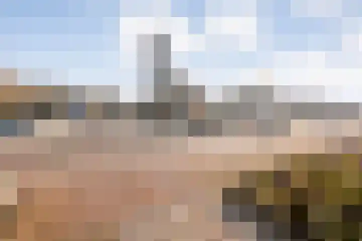 Lage weide 4 Dalfsen foto 3