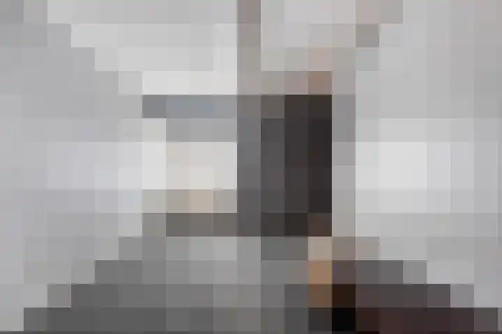 Lage weide 4 Dalfsen thumbnail 30