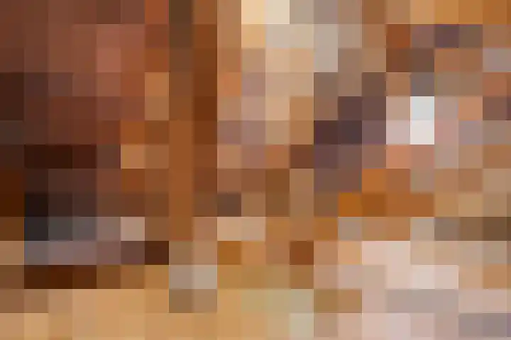 Lage weide 4 Dalfsen thumbnail 32