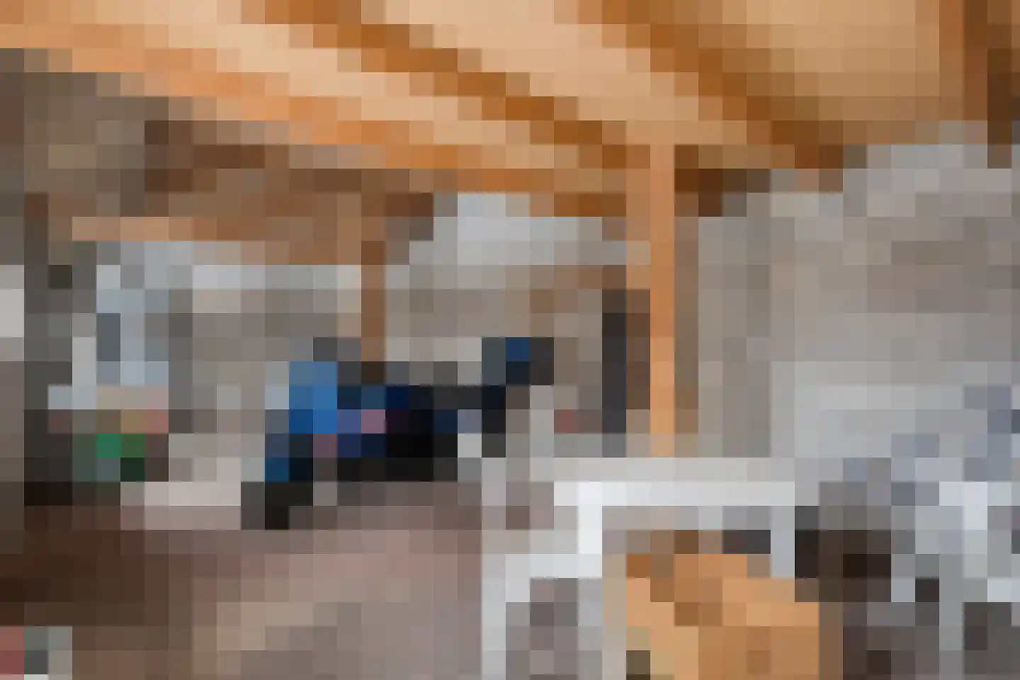 Lage weide 4 Dalfsen thumbnail 33