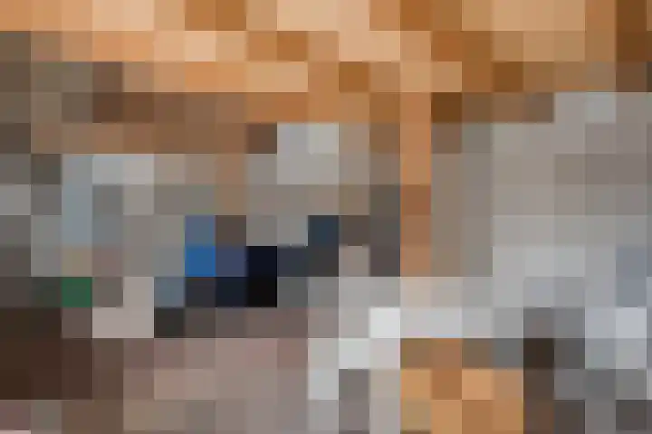 Lage weide 4 Dalfsen thumbnail 33