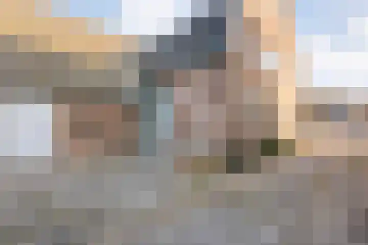 Lage weide 4 Dalfsen thumbnail 34