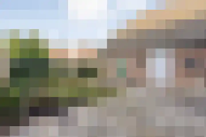 Lage weide 4 Dalfsen thumbnail 35