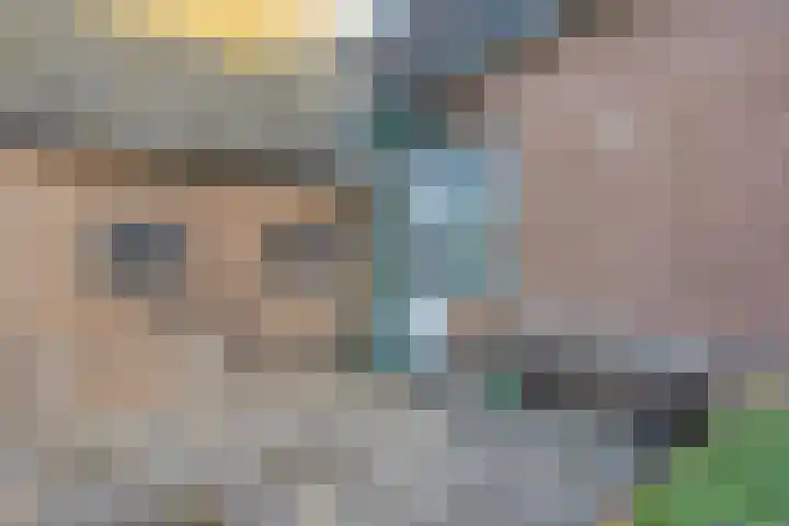 Lage weide 4 Dalfsen thumbnail 36