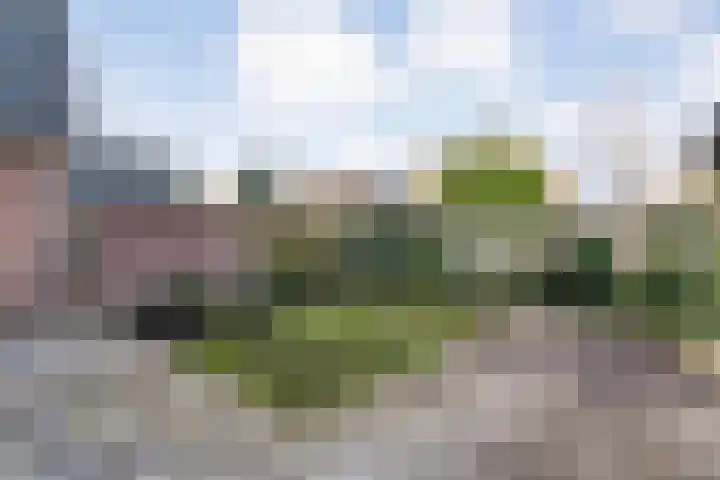 Lage weide 4 Dalfsen thumbnail 37