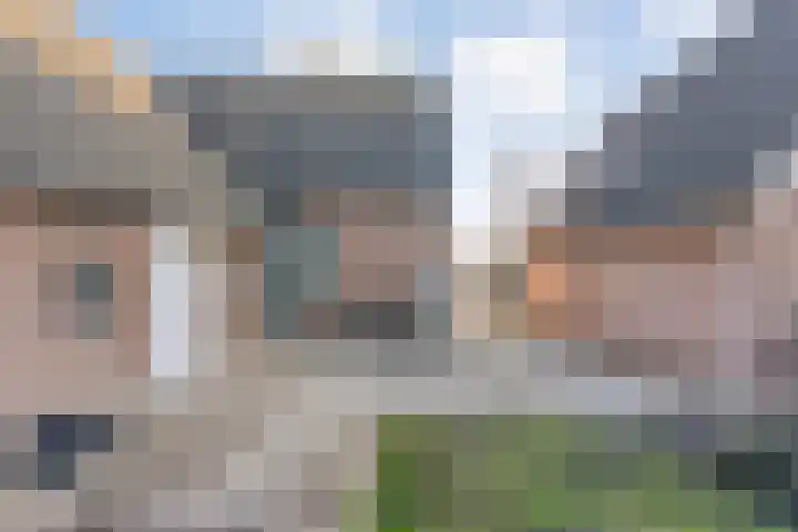 Lage weide 4 Dalfsen thumbnail 38
