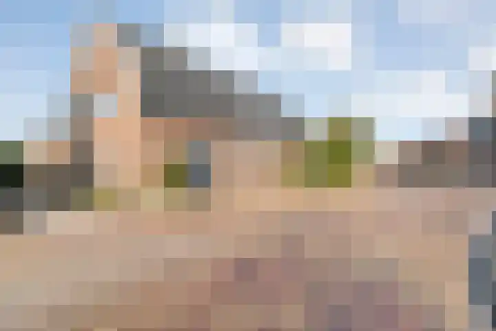 Lage weide 4 Dalfsen thumbnail 39