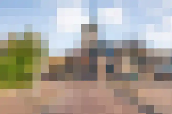 Lage weide 4 Dalfsen thumbnail 4