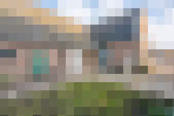 Lage weide 4 Dalfsen thumbnail 5