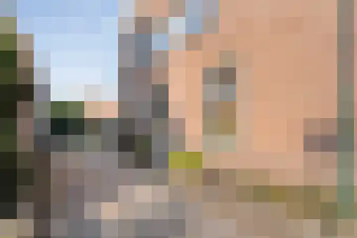 Lage weide 4 Dalfsen thumbnail 6
