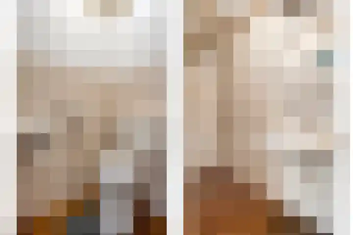 Lage weide 4 Dalfsen thumbnail 9