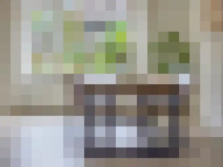 Lage Weide 4 Hertme thumbnail 27