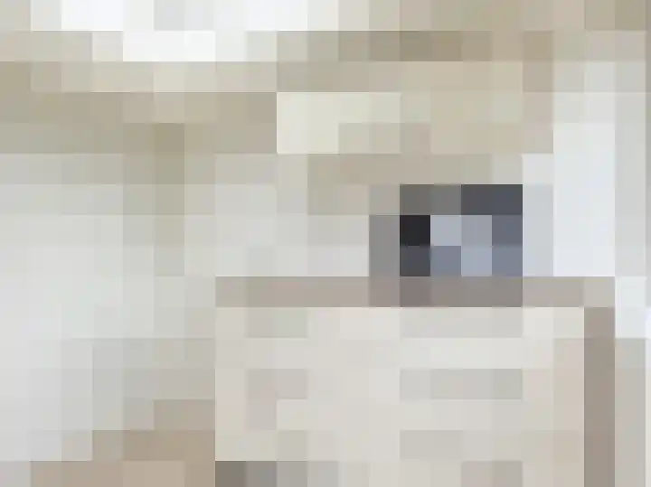Lage Weide 4 Hertme thumbnail 37