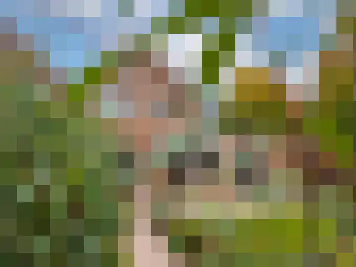 Lage Weide 4 Hertme thumbnail 83