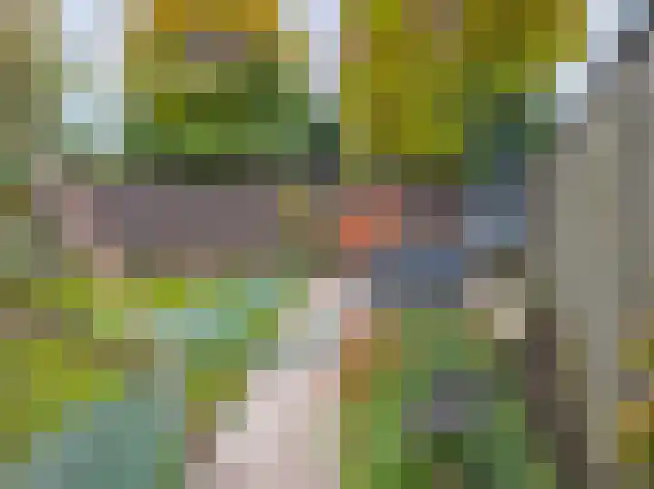 Lage Weide 4 Hertme thumbnail 86