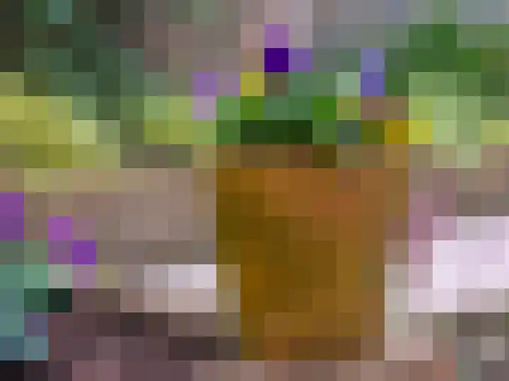 Lage Weide 4 Hertme thumbnail 89