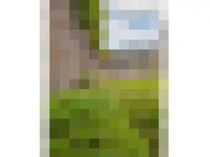 Lage Weide 4 Hertme thumbnail 91