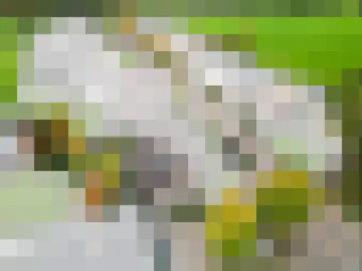 Lage Weide 4 Hertme thumbnail 96