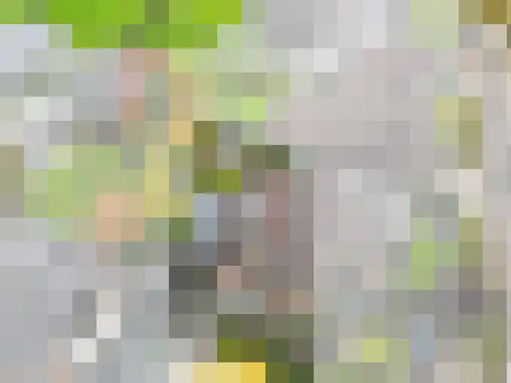 Lage Weide 4 Hertme thumbnail 97