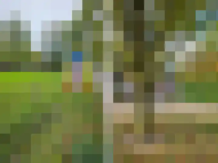 Lage Weide 4 Hertme thumbnail 98
