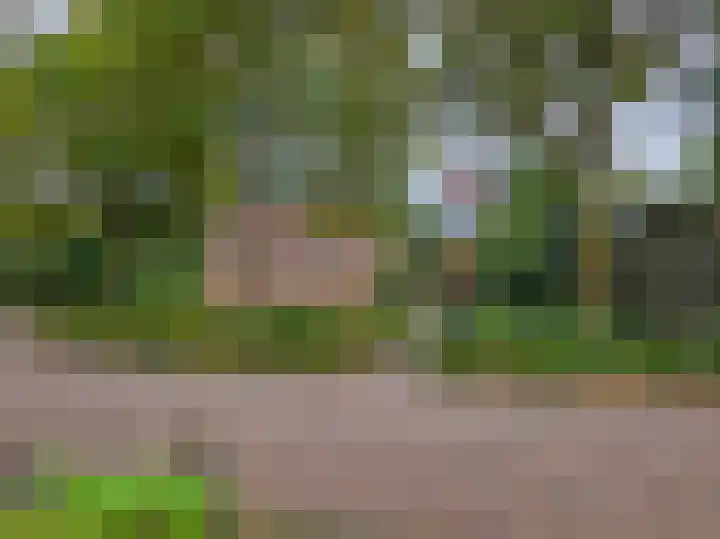 Lage Weide 4 Hertme thumbnail 99