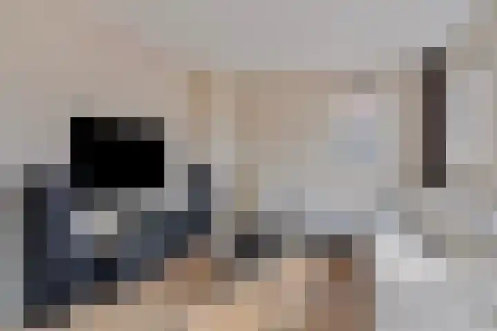 Lage Weide 6 Sint Philipsland thumbnail 10