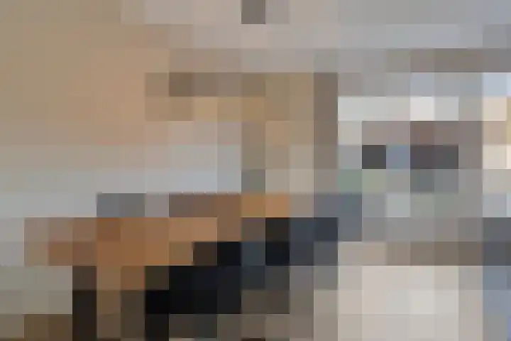 Lage Weide 6 Sint Philipsland thumbnail 12