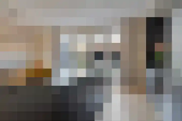 Lage Weide 6 Sint Philipsland thumbnail 13