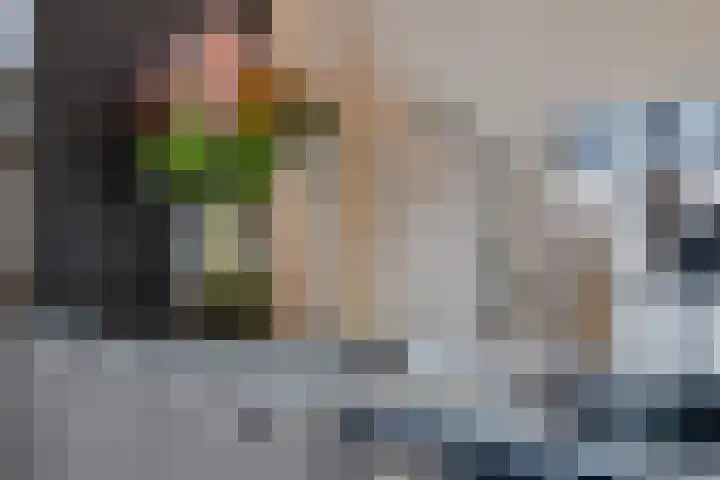 Lage Weide 6 Sint Philipsland thumbnail 16