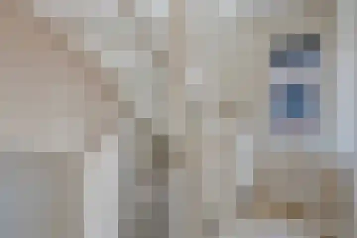 Lage Weide 6 Sint Philipsland thumbnail 18