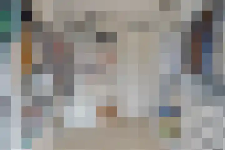 Lage Weide 6 Sint Philipsland thumbnail 25