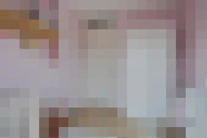Lage Weide 6 Sint Philipsland thumbnail 27