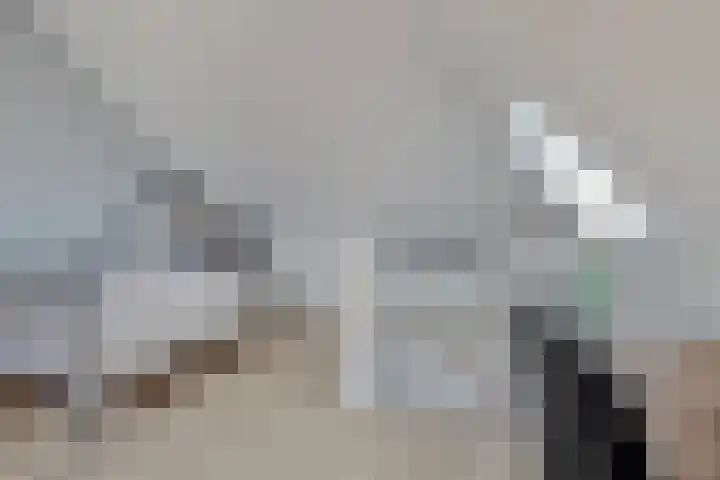 Lage Weide 6 Sint Philipsland thumbnail 28
