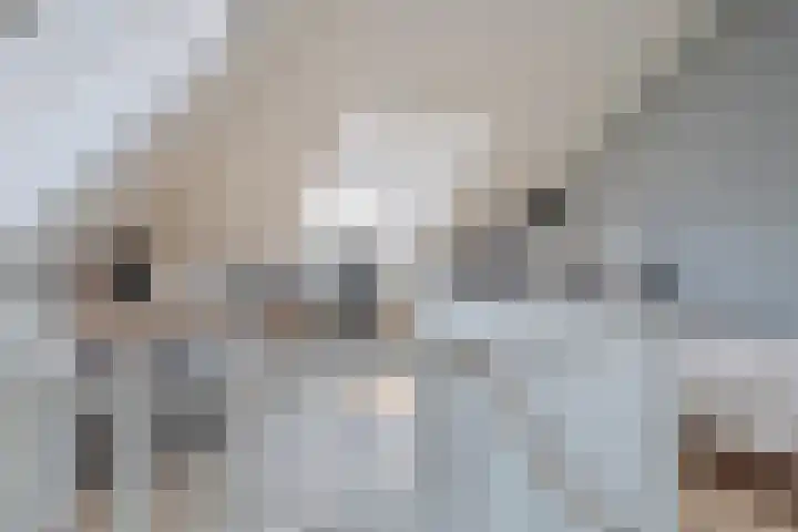 Lage Weide 6 Sint Philipsland thumbnail 29