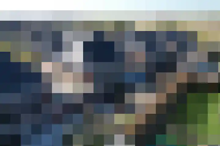 Lage Weide 6 Sint Philipsland thumbnail 30