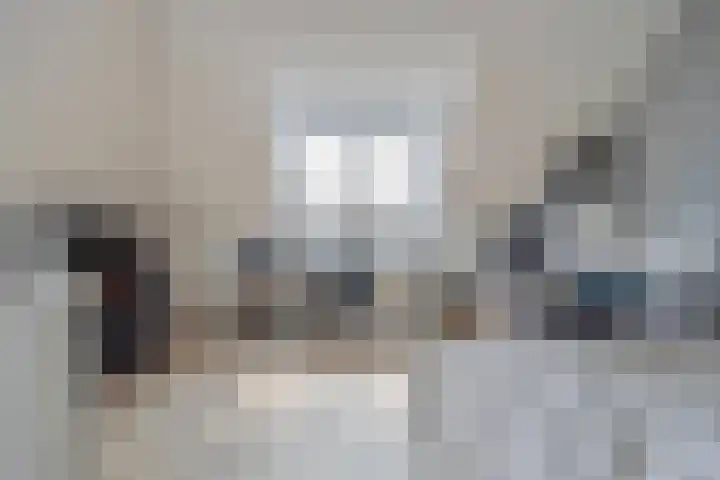 Lage Weide 6 Sint Philipsland thumbnail 31