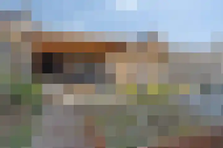 Lage Weide 6 Sint Philipsland thumbnail 32