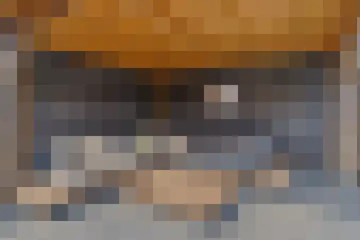 Lage Weide 6 Sint Philipsland thumbnail 33