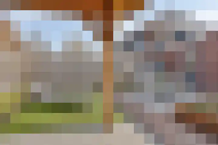 Lage Weide 6 Sint Philipsland thumbnail 34