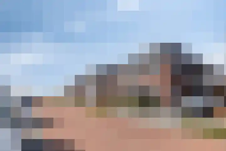 Lage Weide 6 Sint Philipsland thumbnail 36