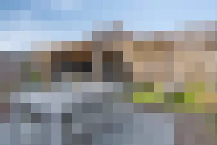 Lage Weide 6 Sint Philipsland thumbnail 37