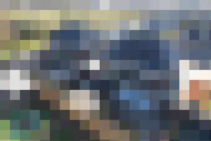 Lage Weide 6 Sint Philipsland thumbnail 39