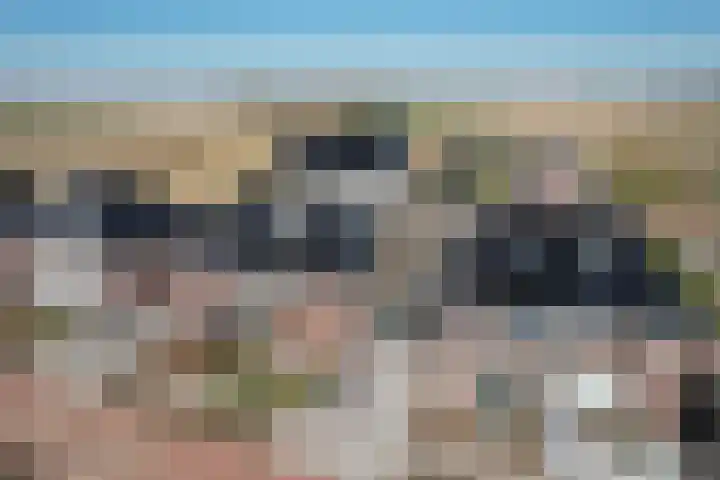 Lage Weide 6 Sint Philipsland thumbnail 40