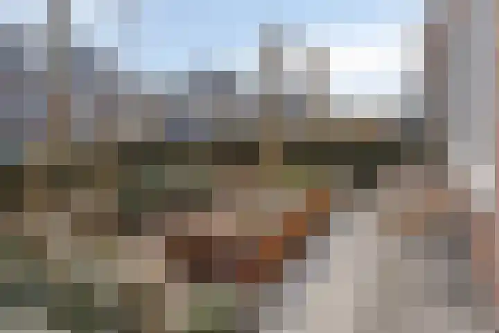 Lage Weide 6 Sint Philipsland thumbnail 43