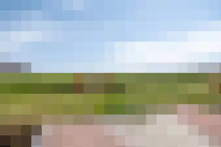 Lage Weide 6 Sint Philipsland thumbnail 44