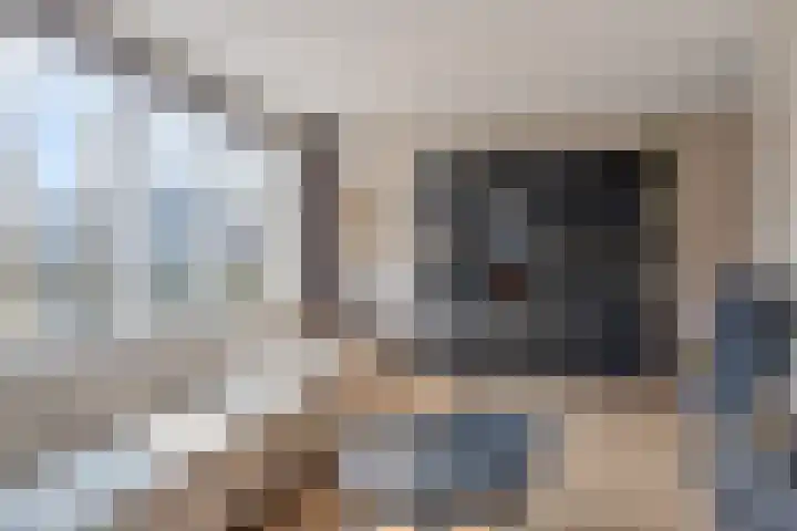 Lage Weide 6 Sint Philipsland thumbnail 9
