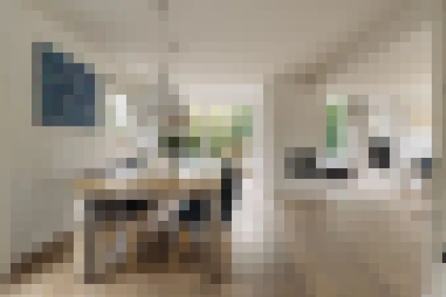 Lage Weidtje 8 Bergen (NH) thumbnail 15